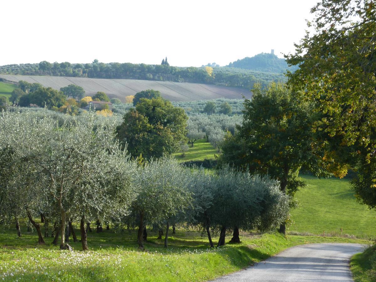 Genius Loci Country Inn Bevagna Exteriér fotografie